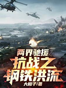 两界驰援:抗战之钢铁洪流