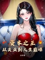 资本之王:从失业到人生巅峰